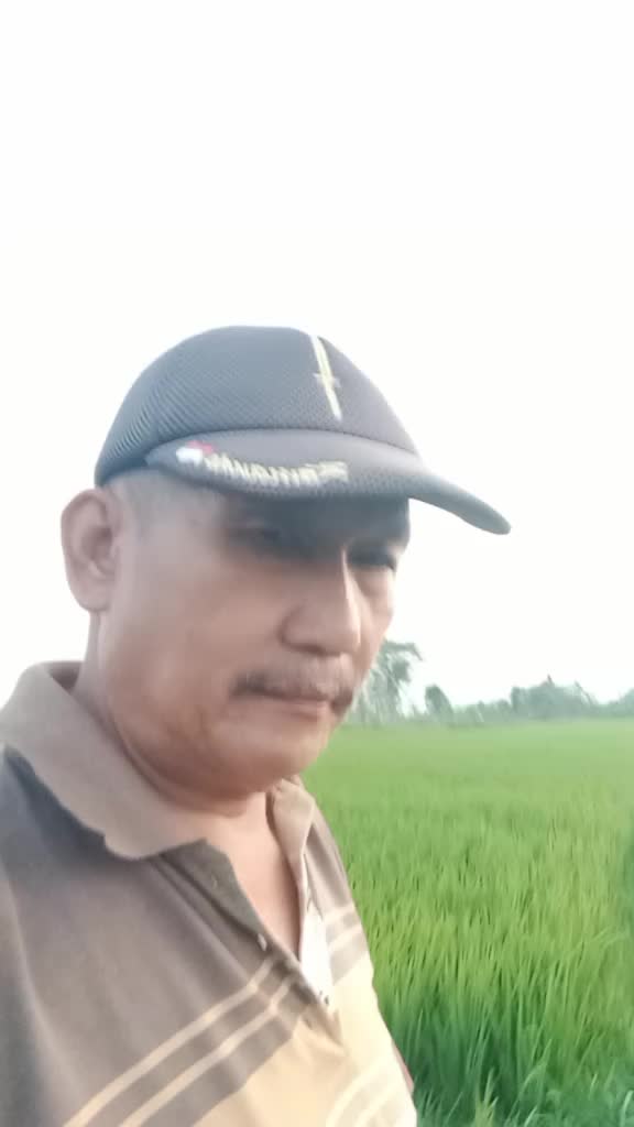 @seter