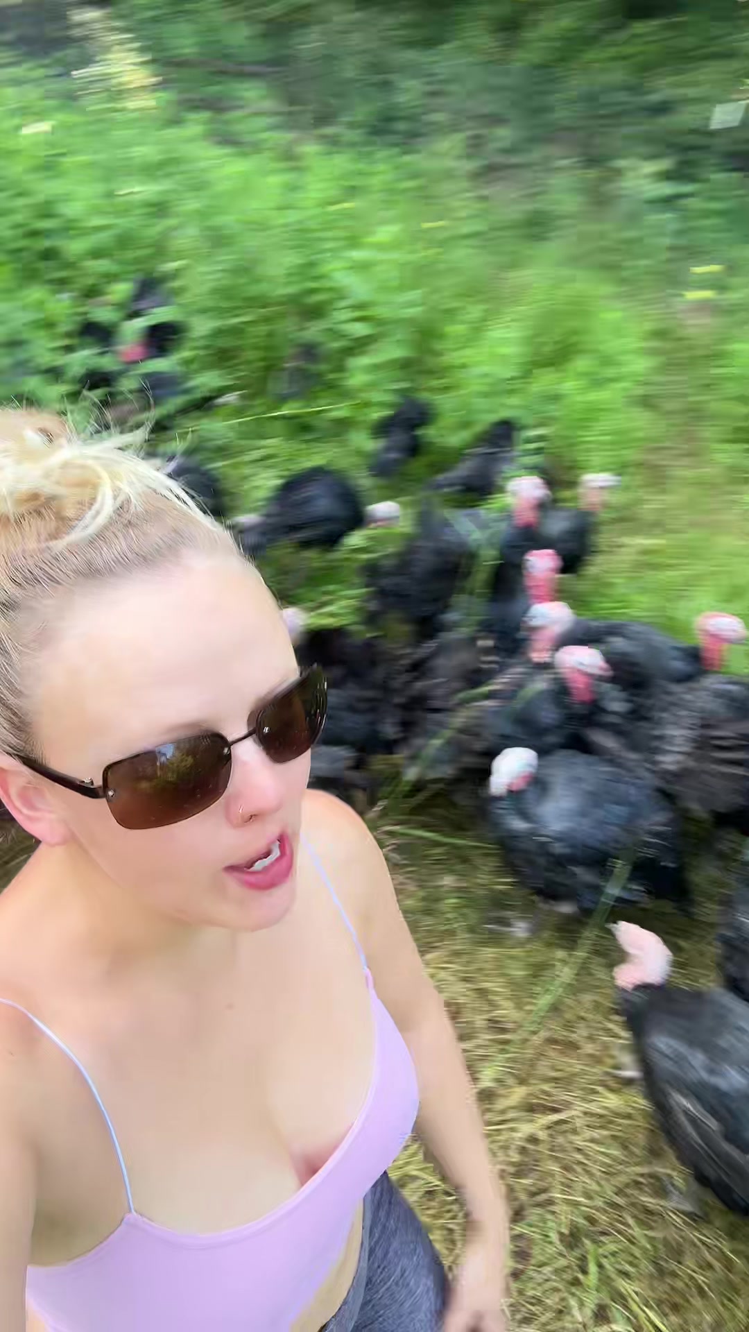 @farmerandtheharpiist
