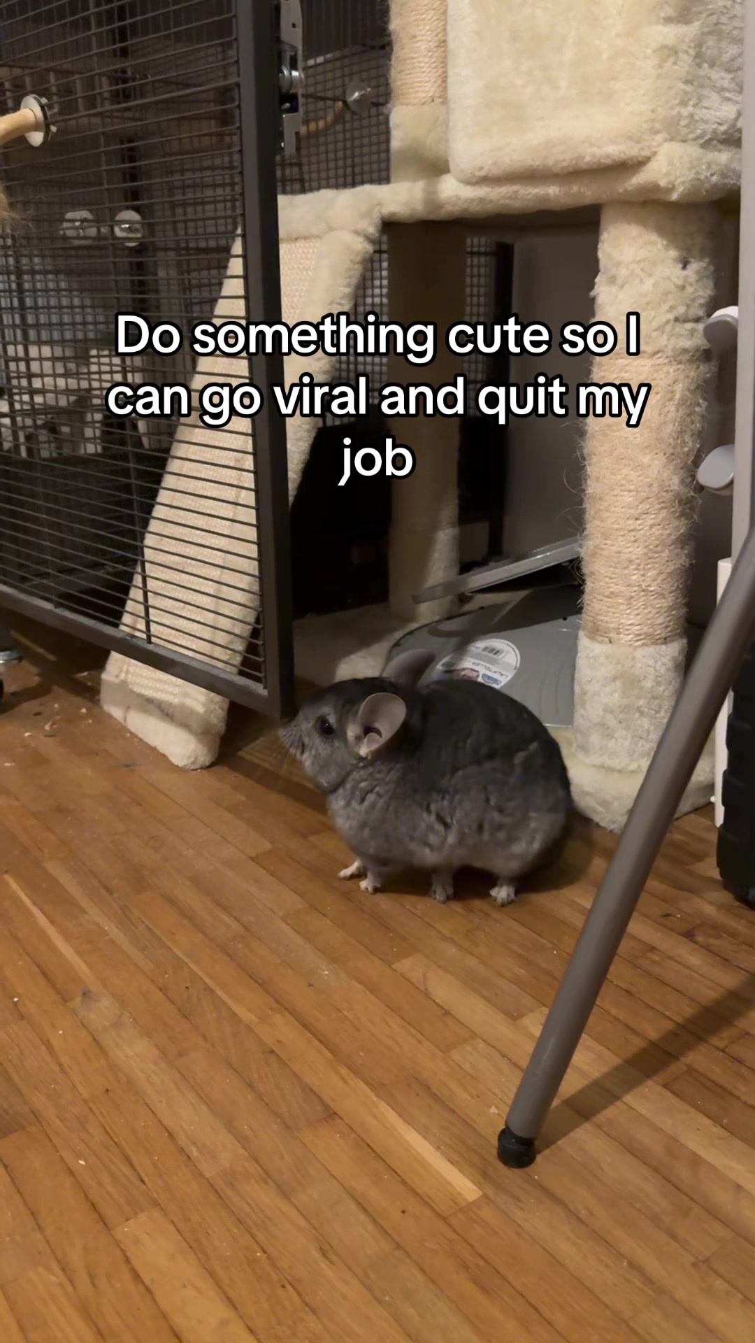 @BANDIT & STRIPE