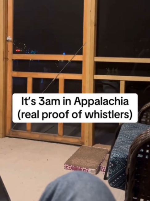 @Haunted TikToks