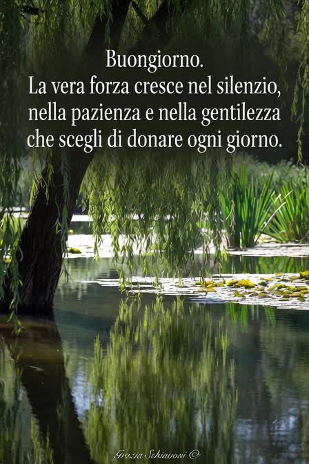@Grazia Schiavoni