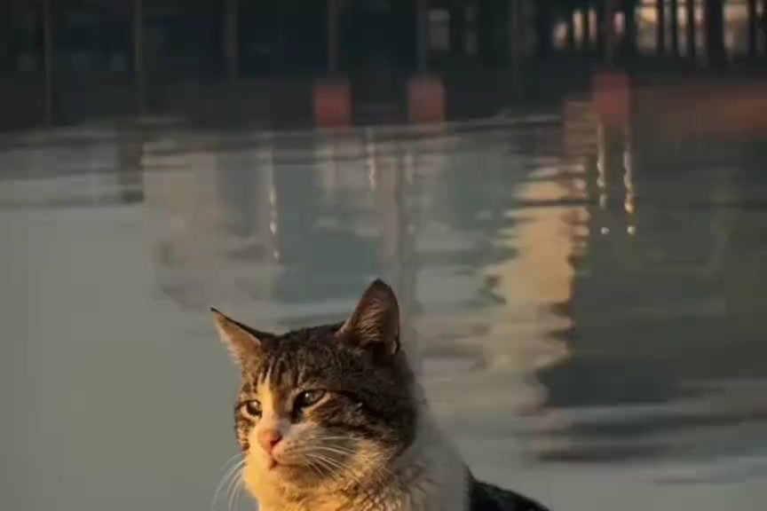@𓆩𝑹𓆪