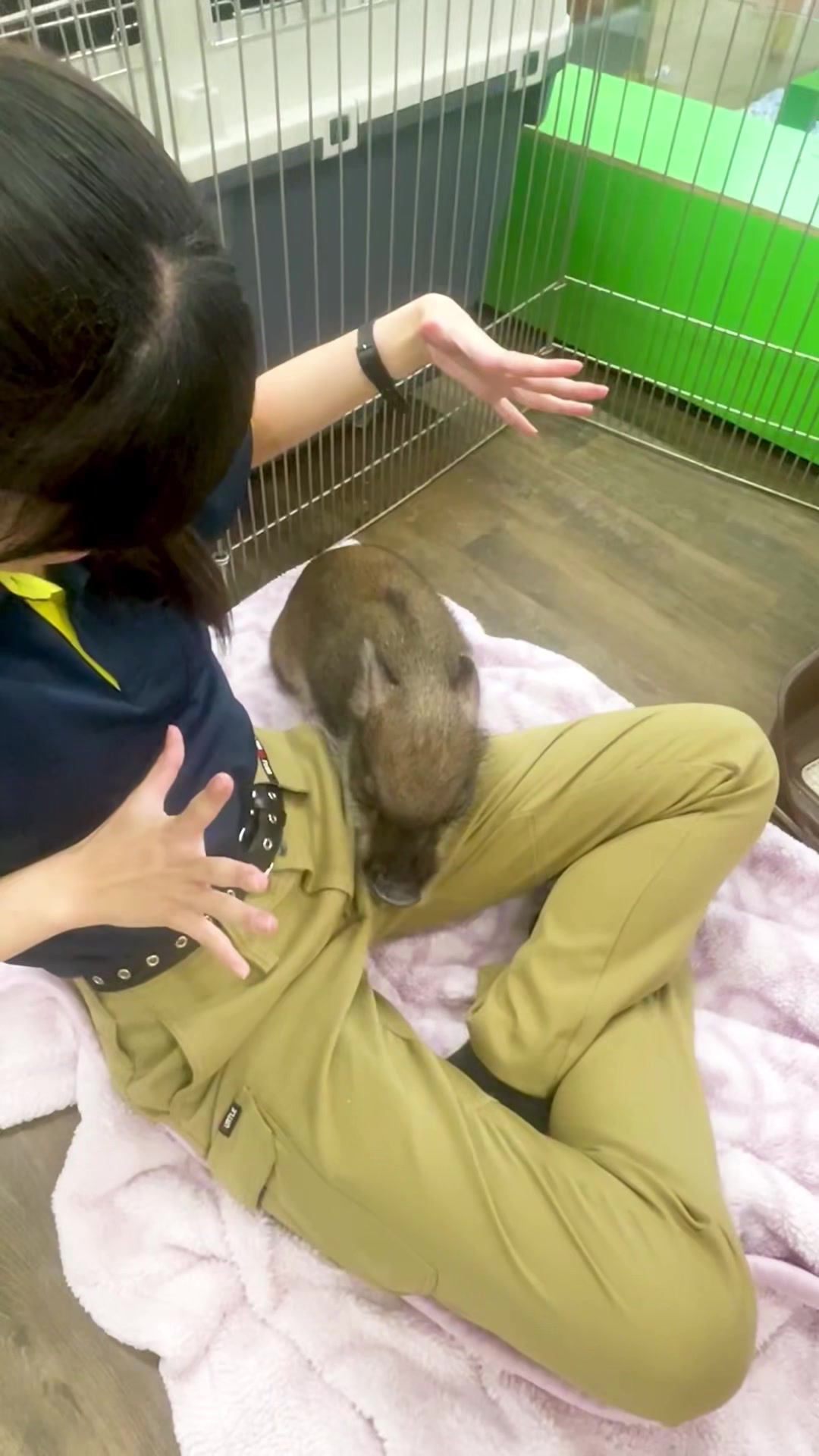 @TCA東京ECO動物海洋専門学校