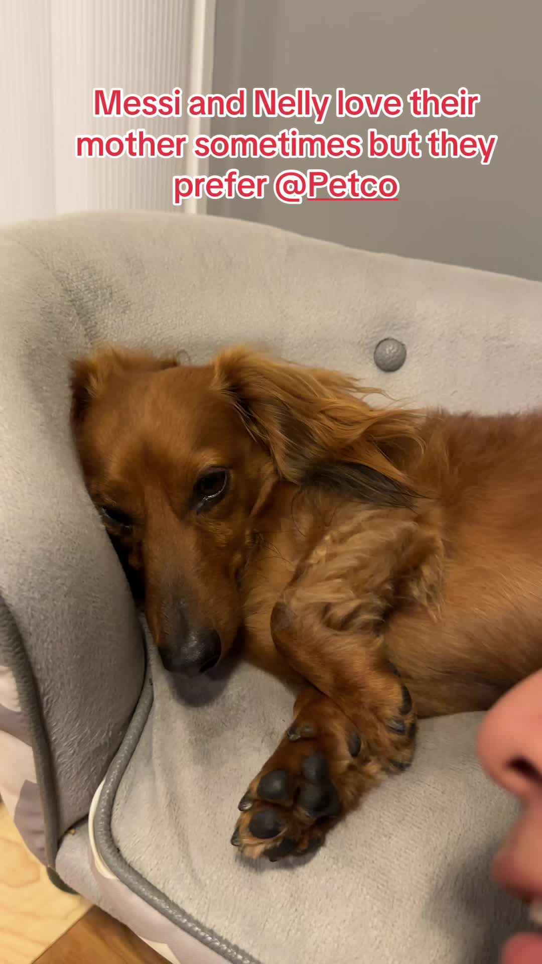 @Messi and Nelly(theweiners)
