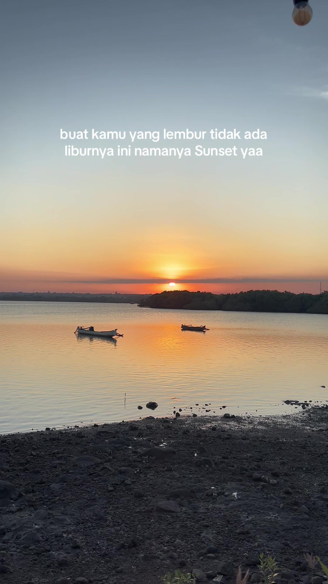 @🦫