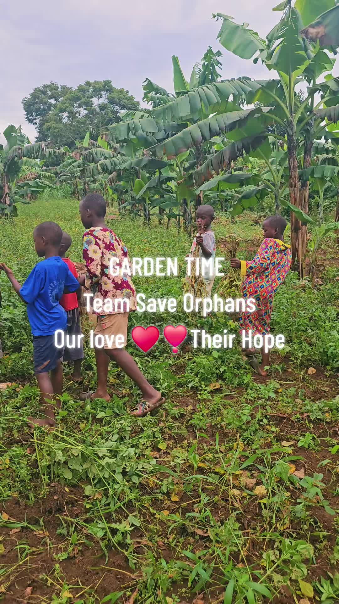 @TEAM SAVE ORPHANS