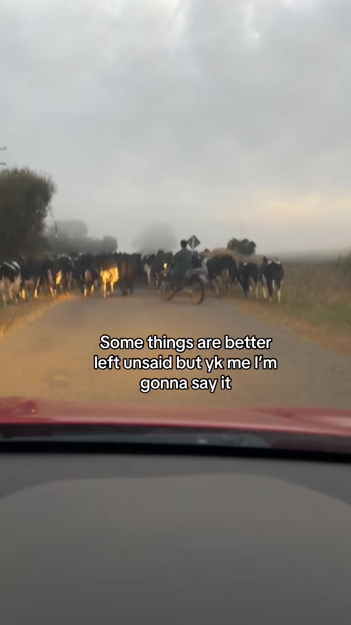 @bikinifarmer