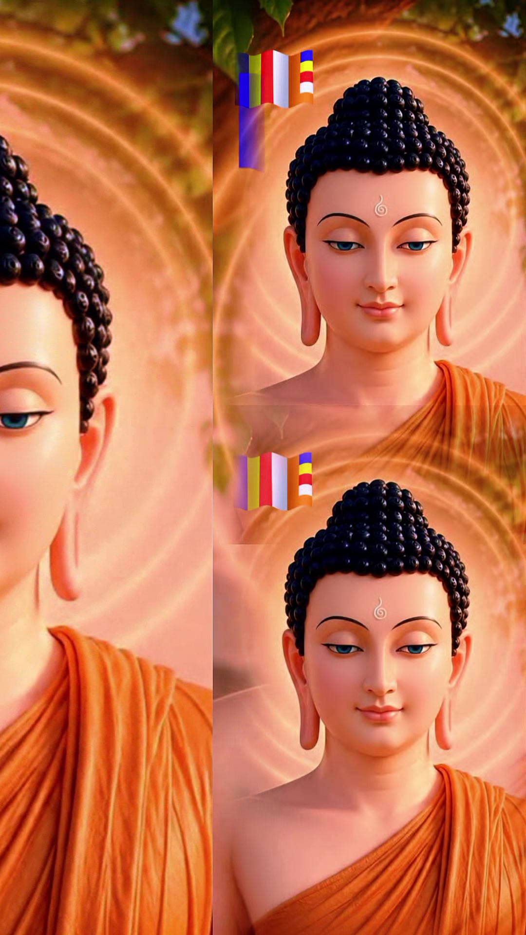 @සබ්බ දානං ධම්ම දානං ජිනාති