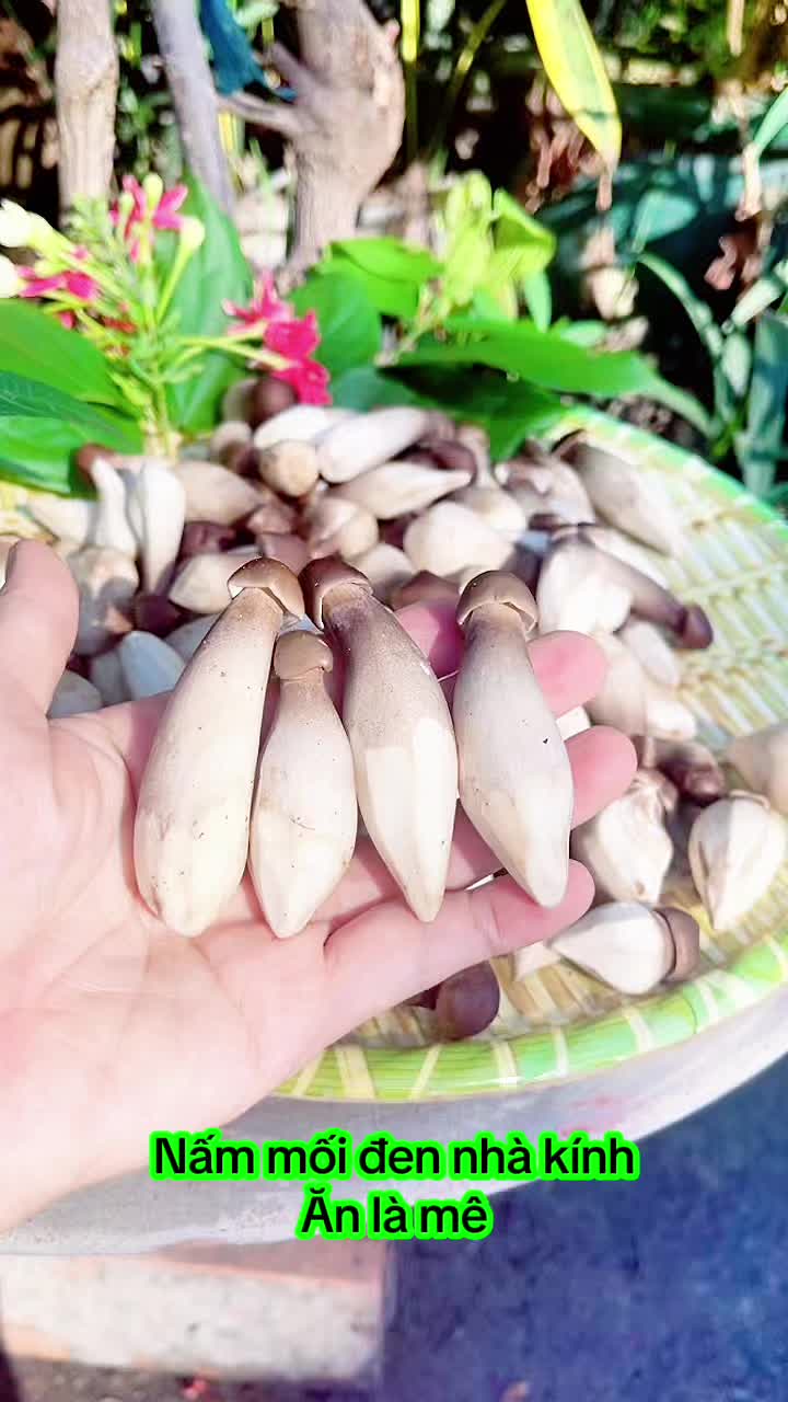 @nguyentuyet_79