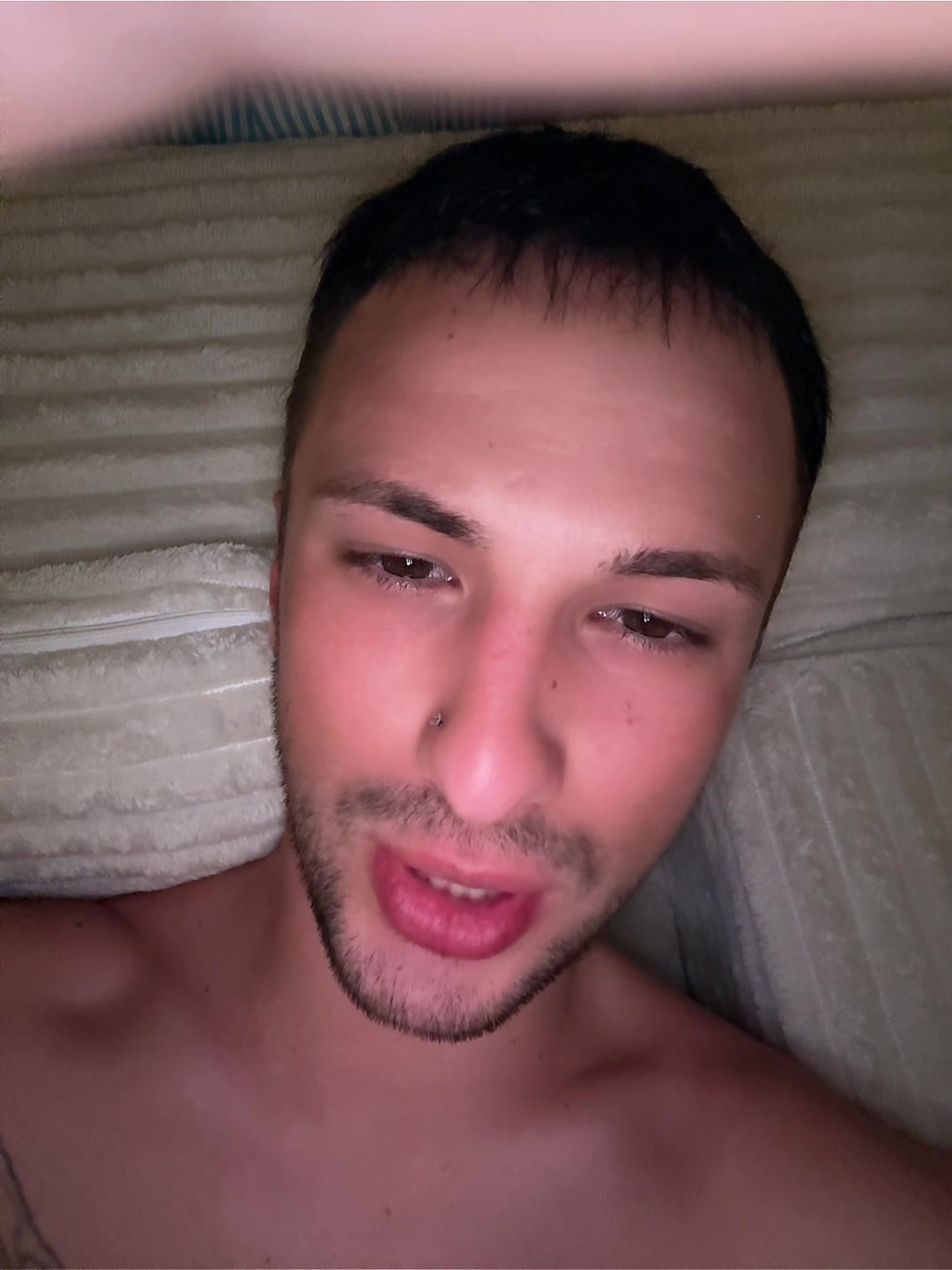 @antevrankic.spam