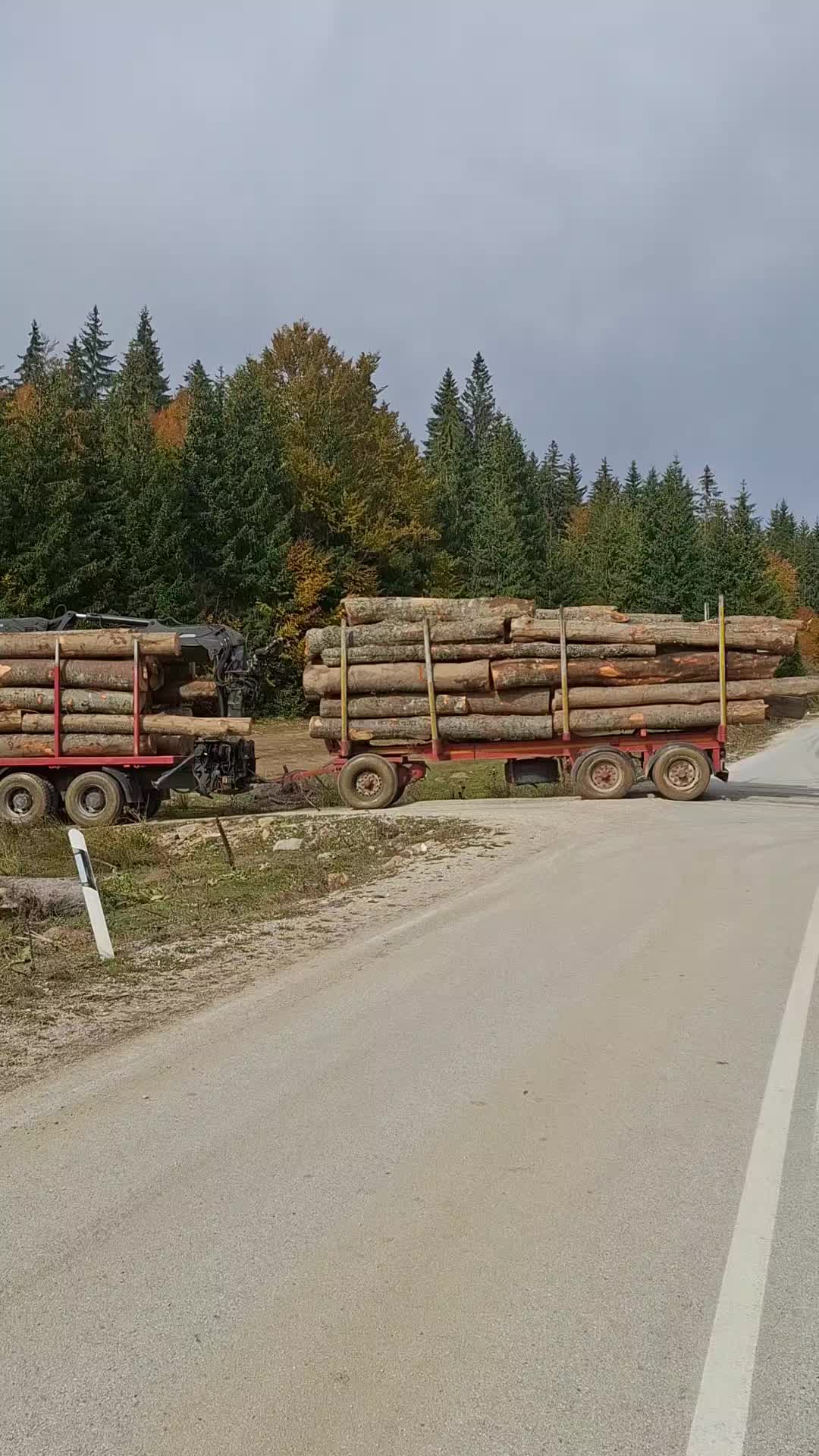 @strahinja_r