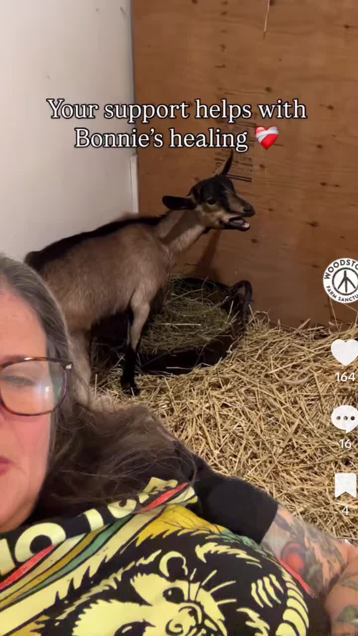 @Traceyh415