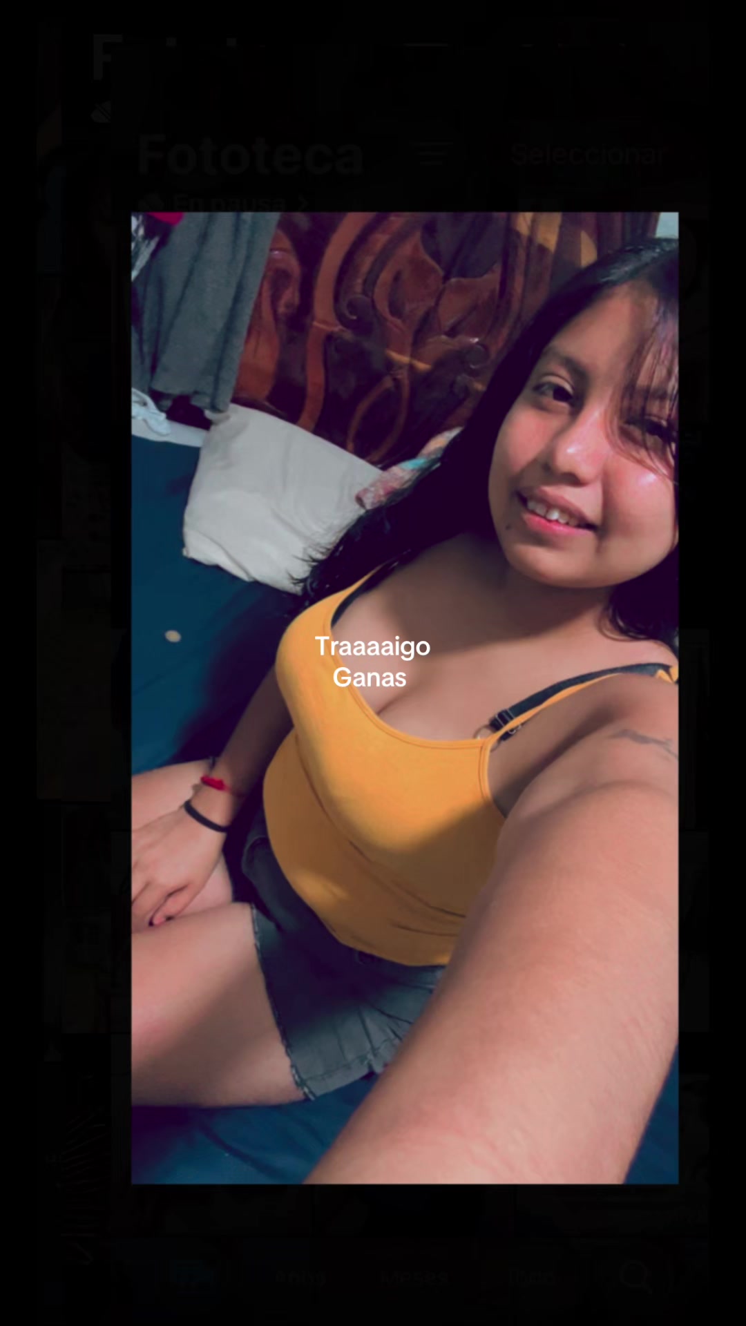 @Gaviota