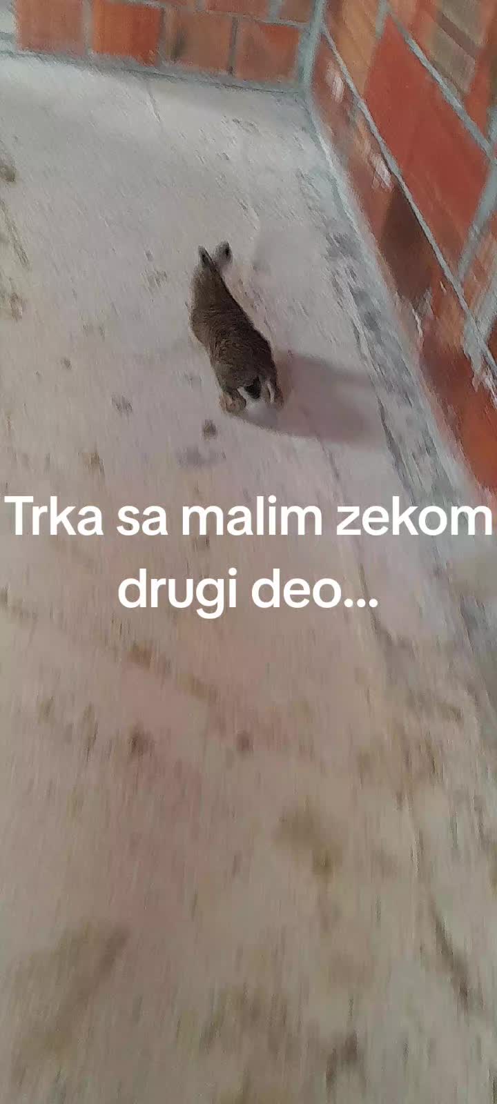 @Miki maus 67
