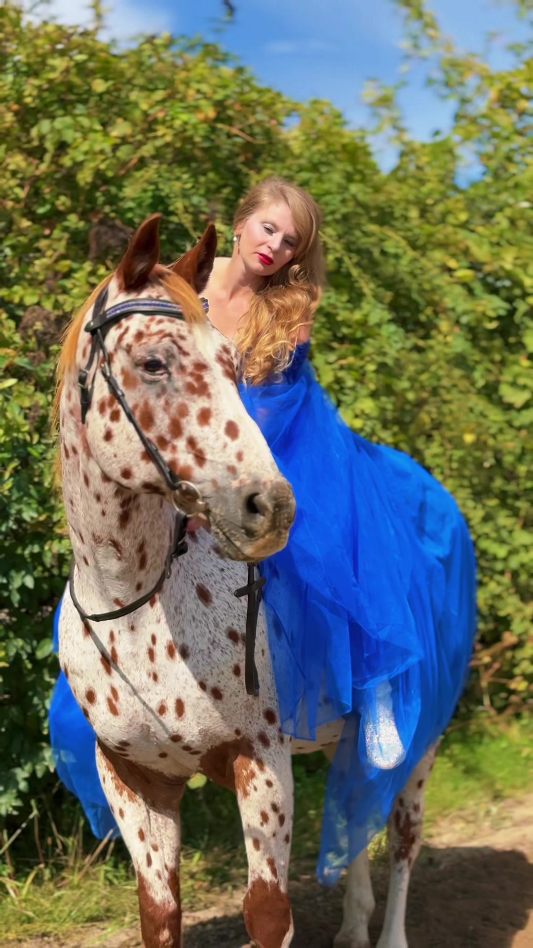 @Free Spirit Equestrian
