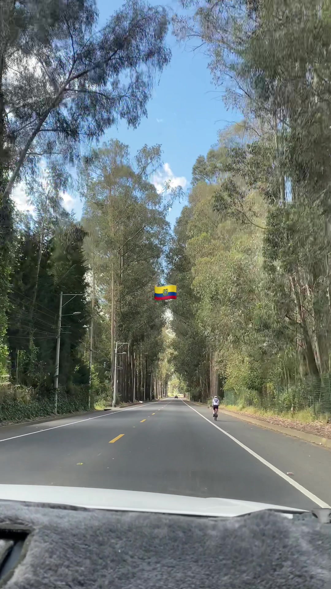 @Erick Ayabaca Vega