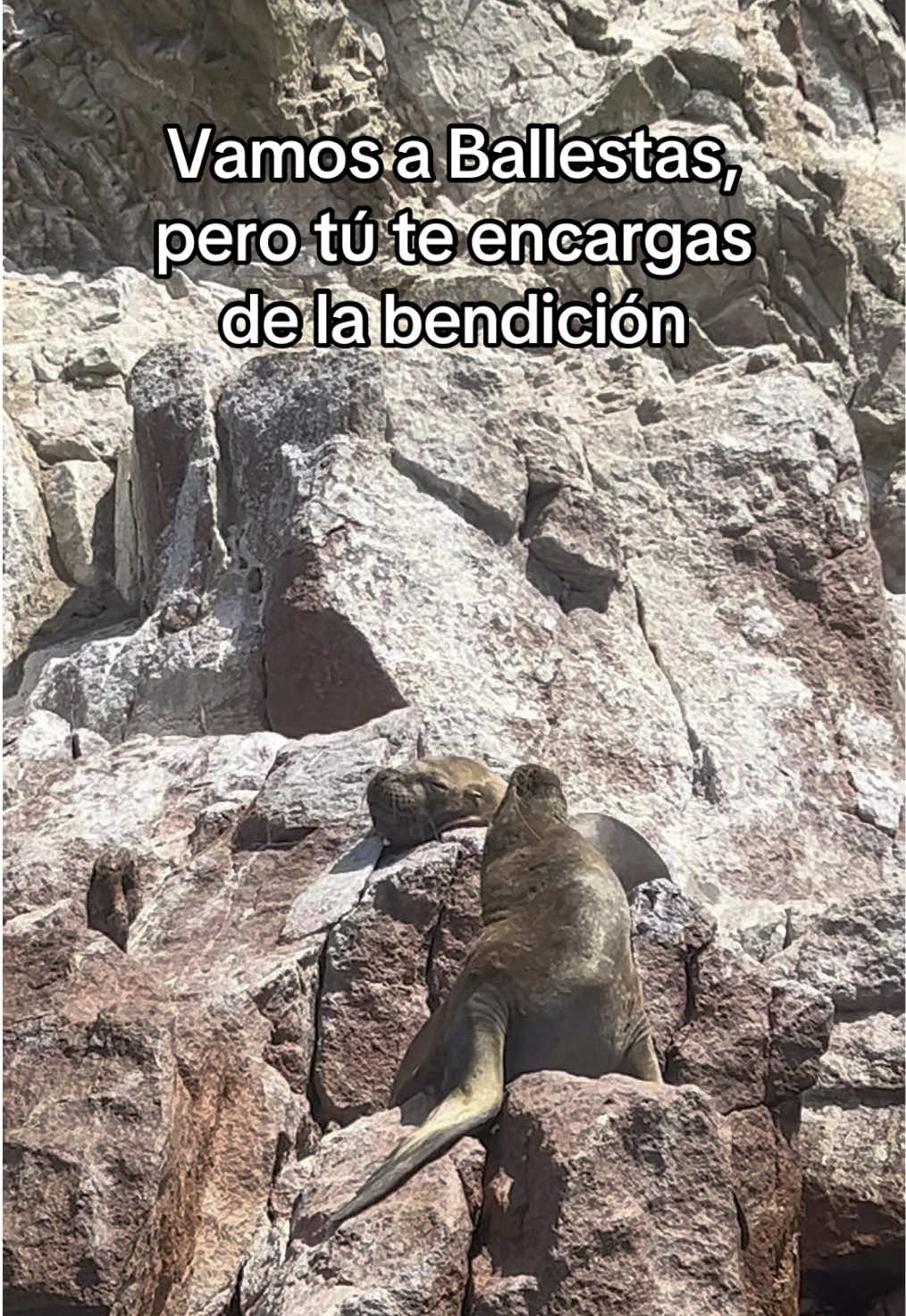 @eluterodepapa