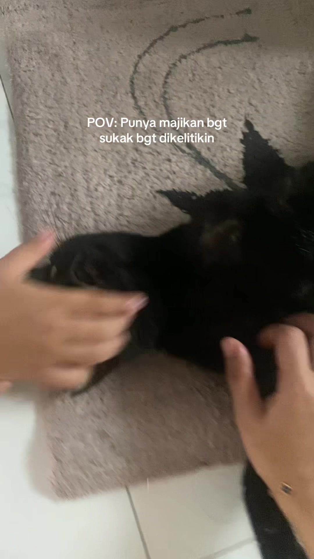 @Haqhaqcatsnfams