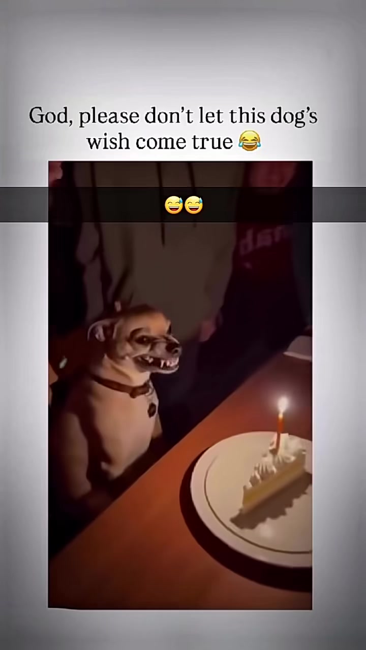 @timzyteee