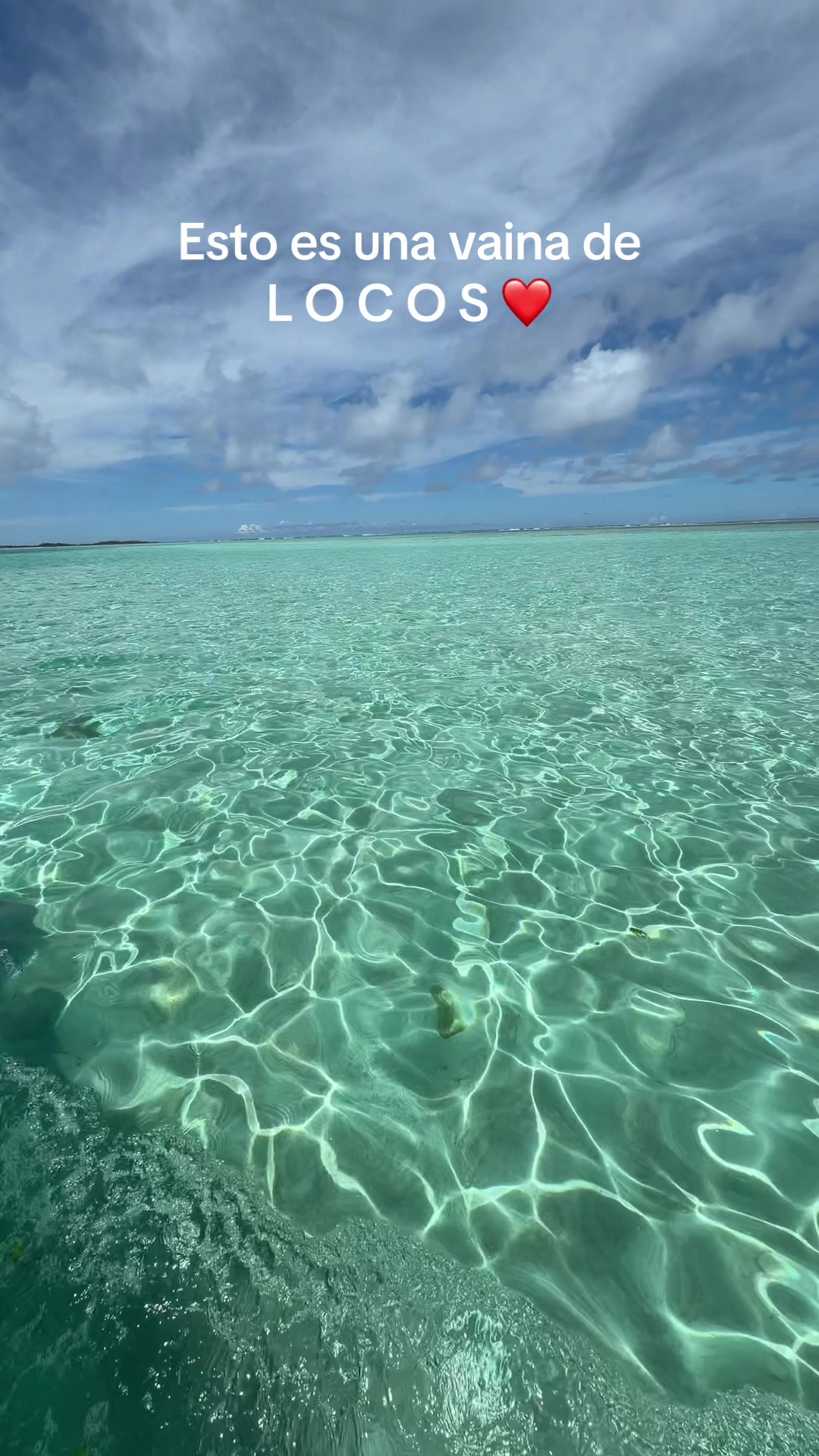 @Tuna Los Roques 🌵