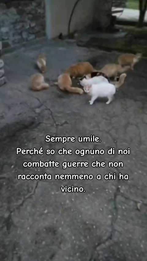 @ELETTRA L'ANIMALISTA