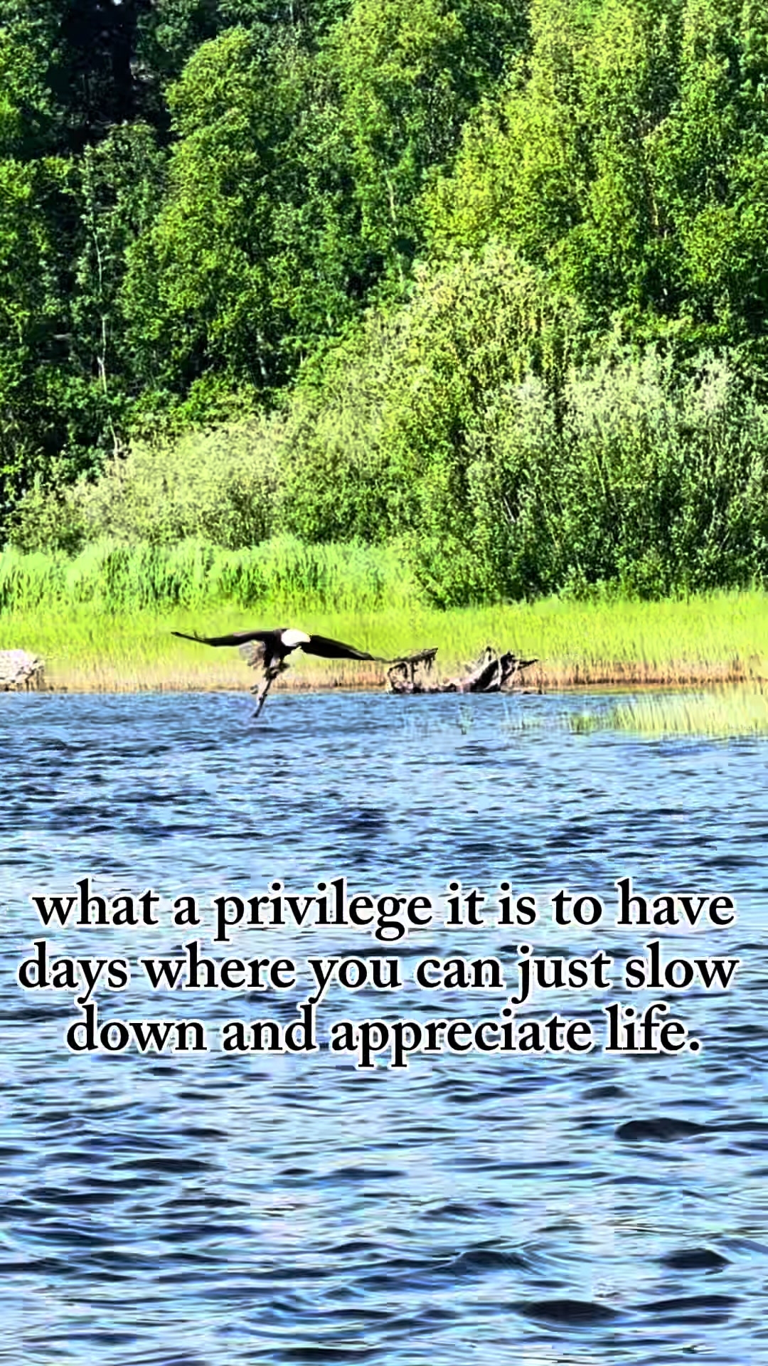@AKventures | Wasilla Realtor
