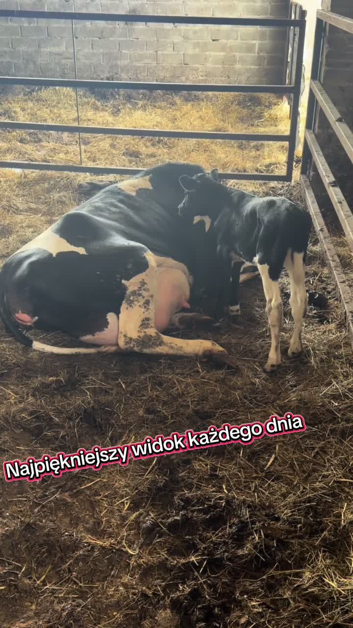 @Agro_dżAga