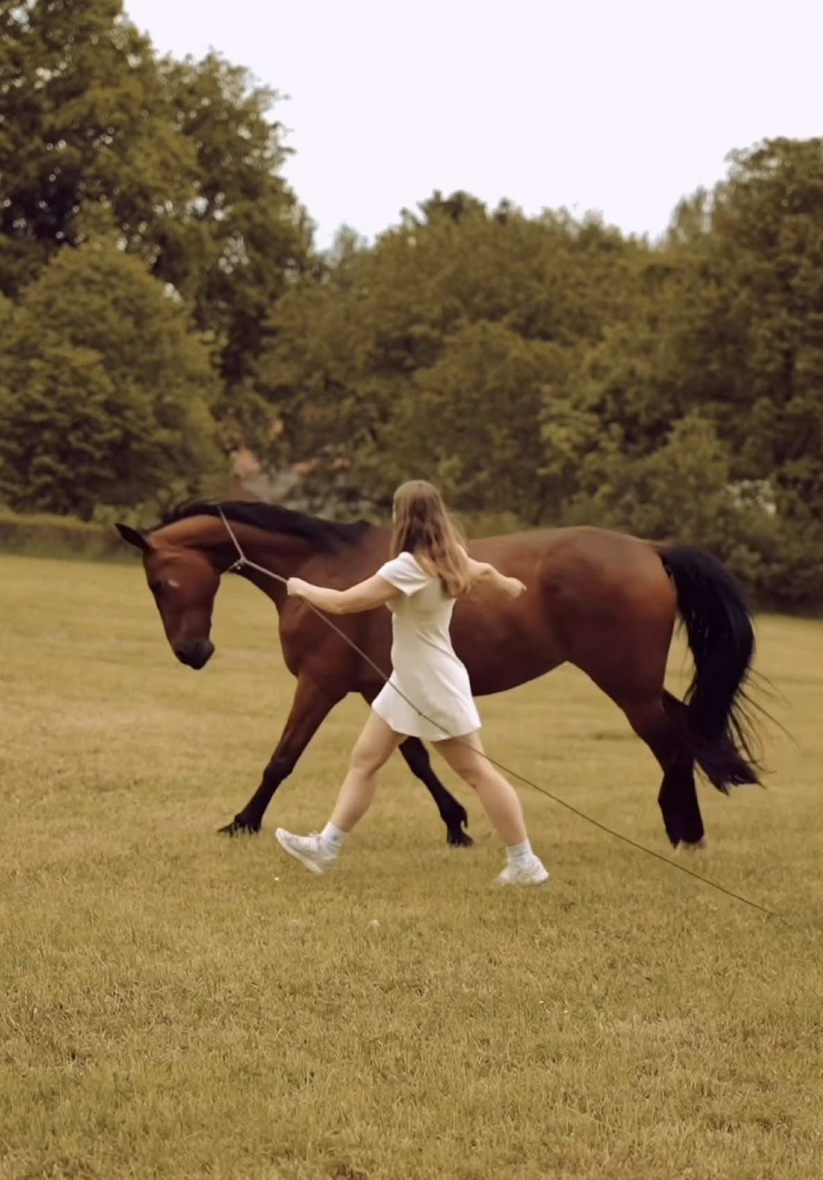 @Tigerlilly Diamant & Cherokee