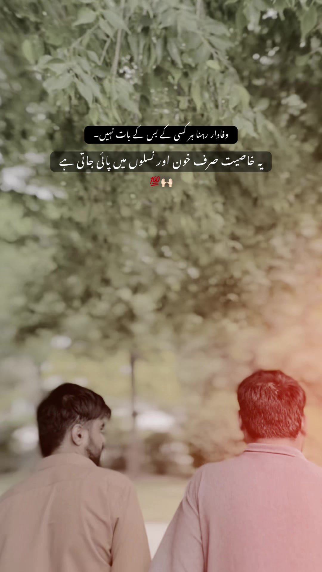 @رضوان علی 💸