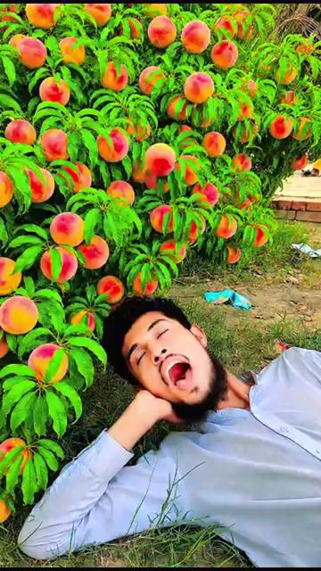 @Team Saifulla