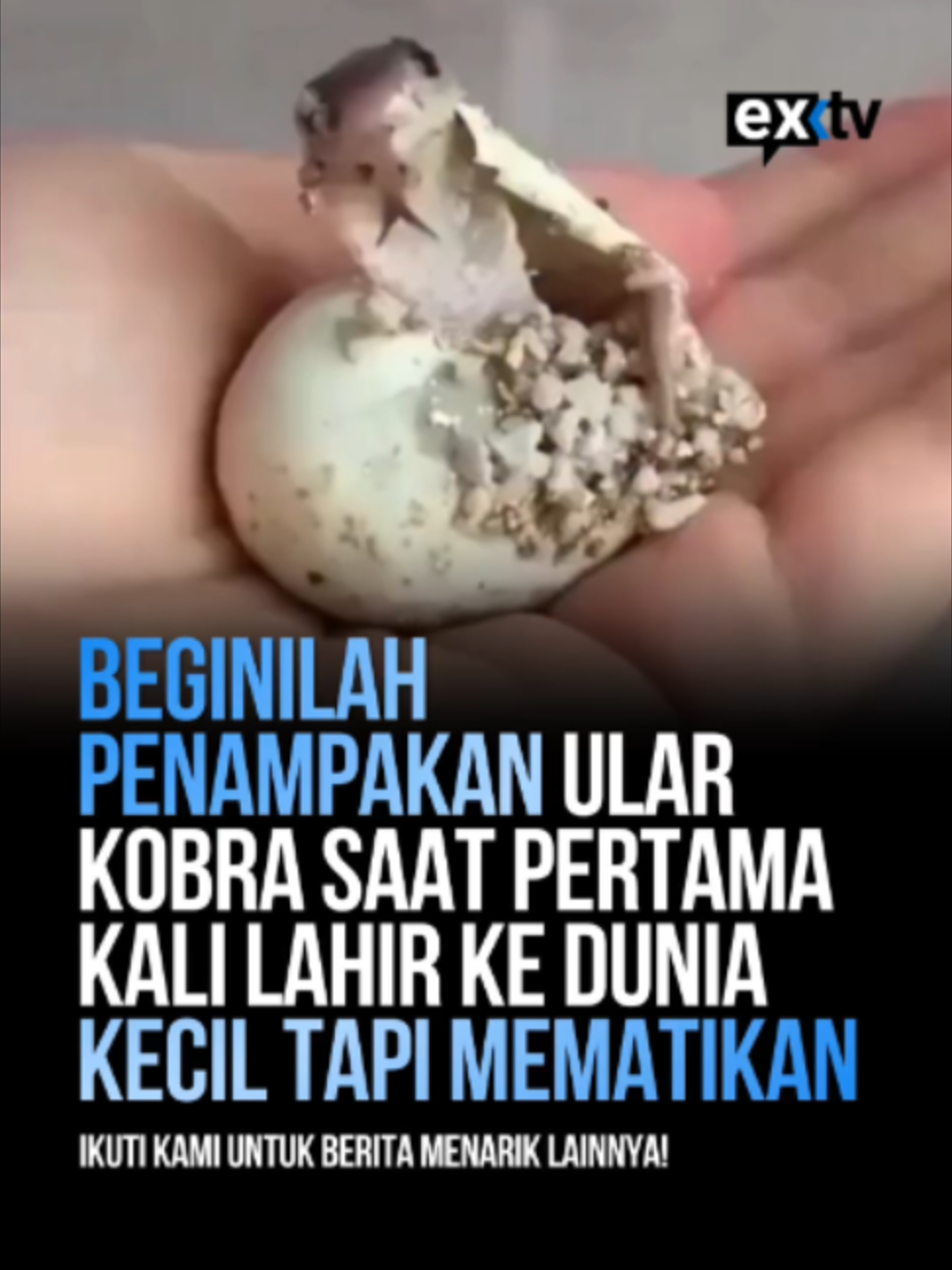 @Expressi Media