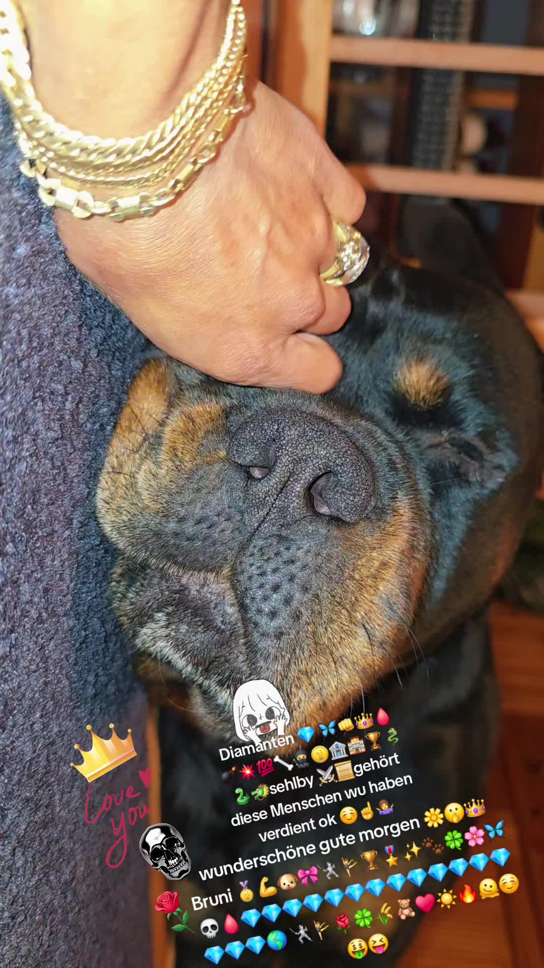 @Rottweiler Bruno