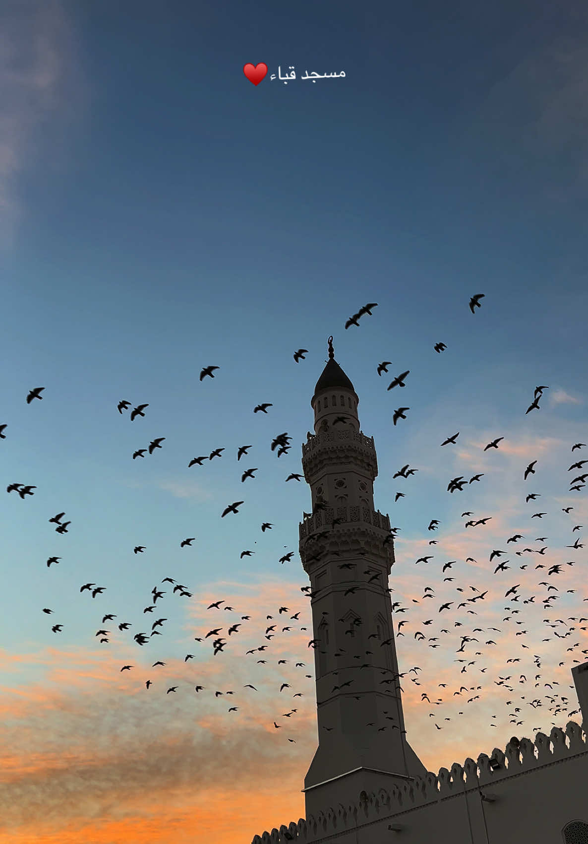 @سـامـي الجهني💙📸📲