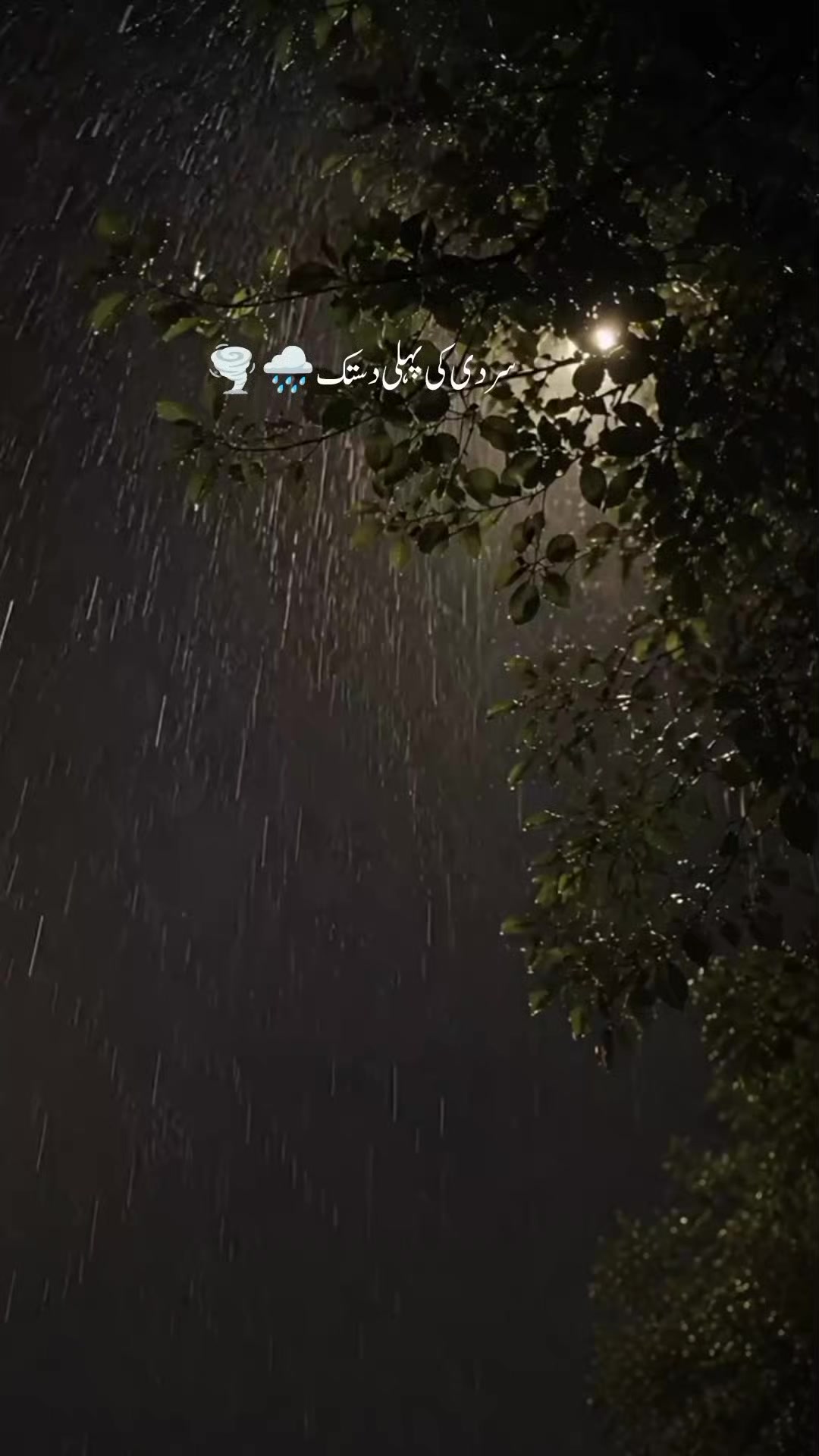 @AAتii🦋🥂