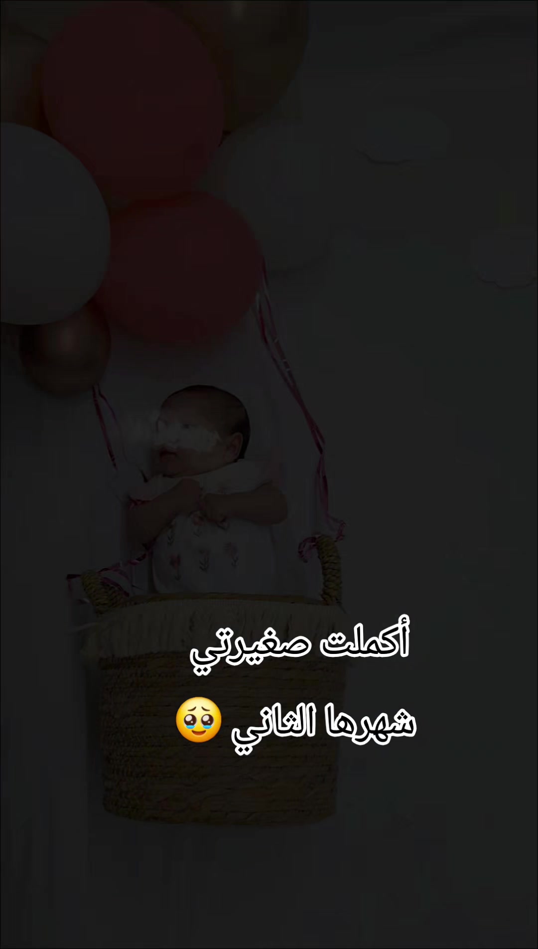 @Nour🌺🌸