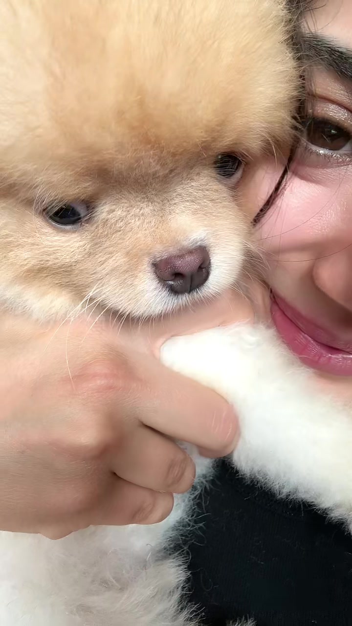 @Nika_NM