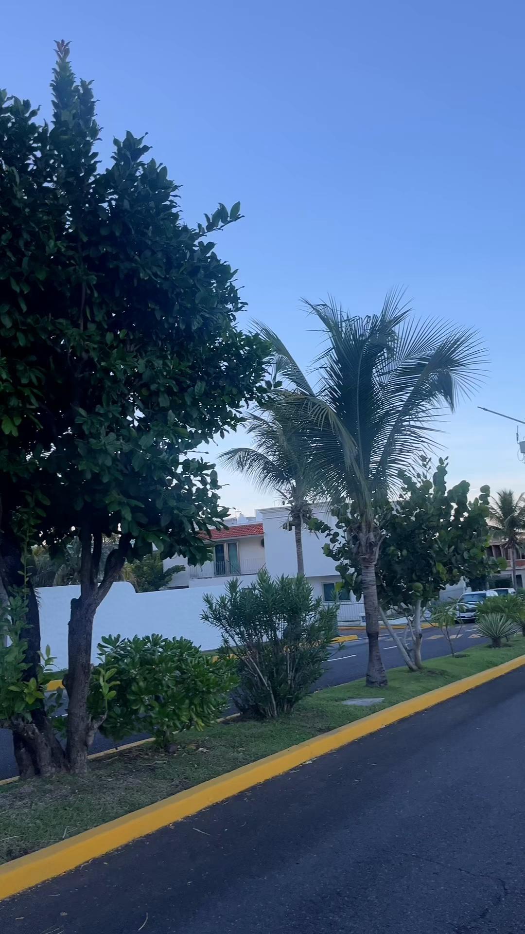 @veracruzmarysol