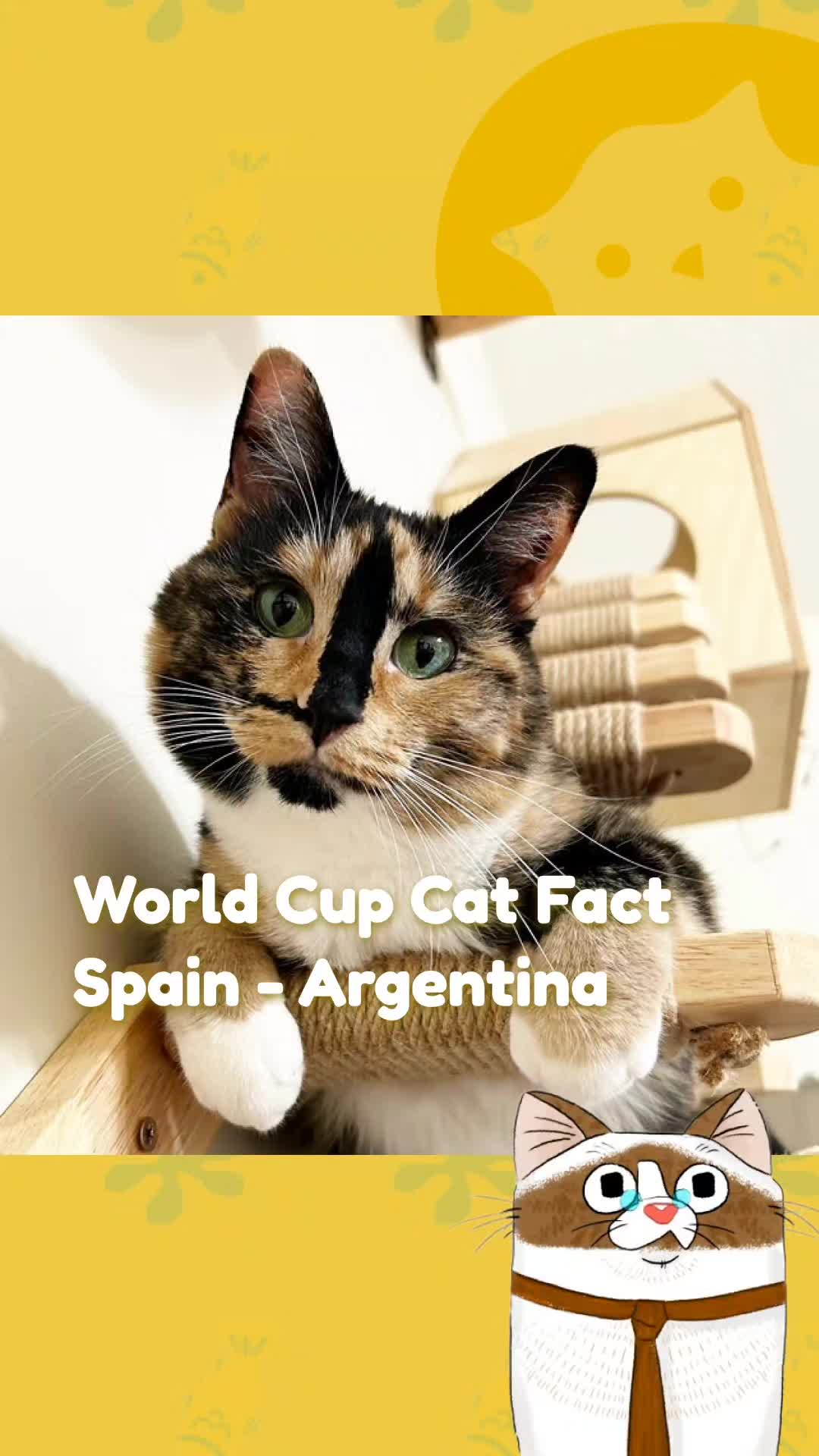@CatSwoppr
