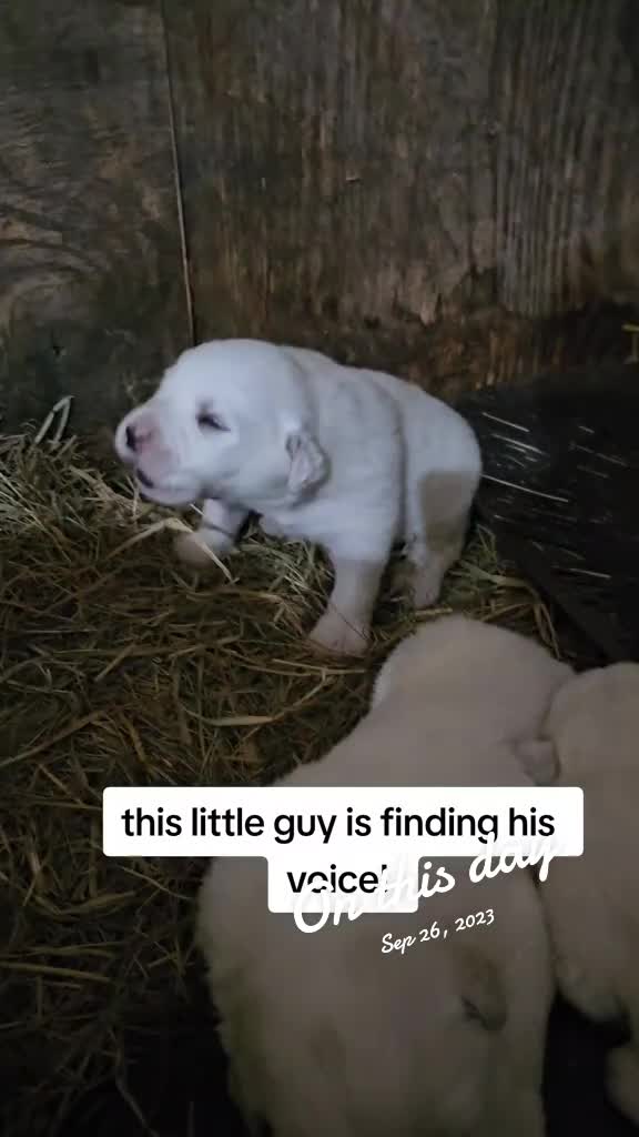 @Farmer Jake