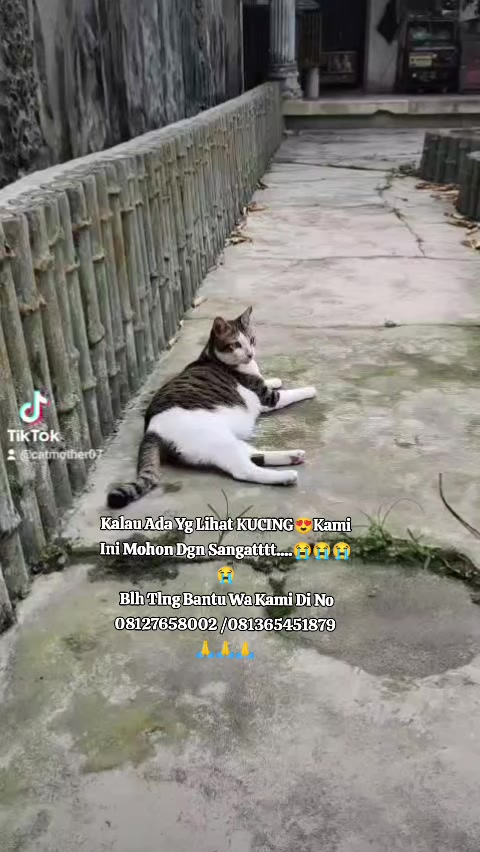 @Dewi Handayani