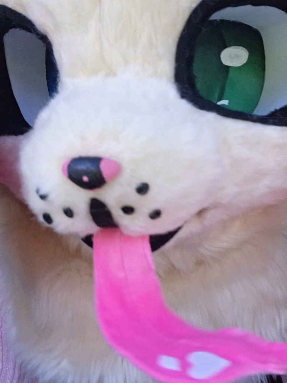 @✨️🎀♡D3l¡l@h♡🦴🐾