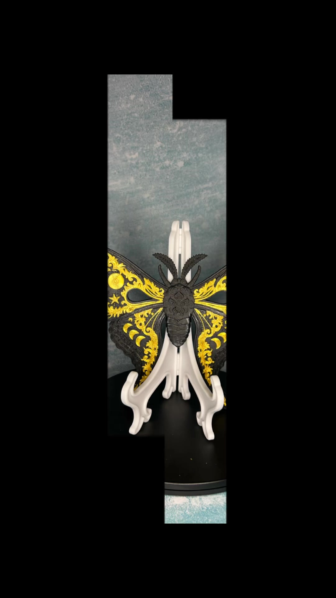@Customs and Collectables 3D