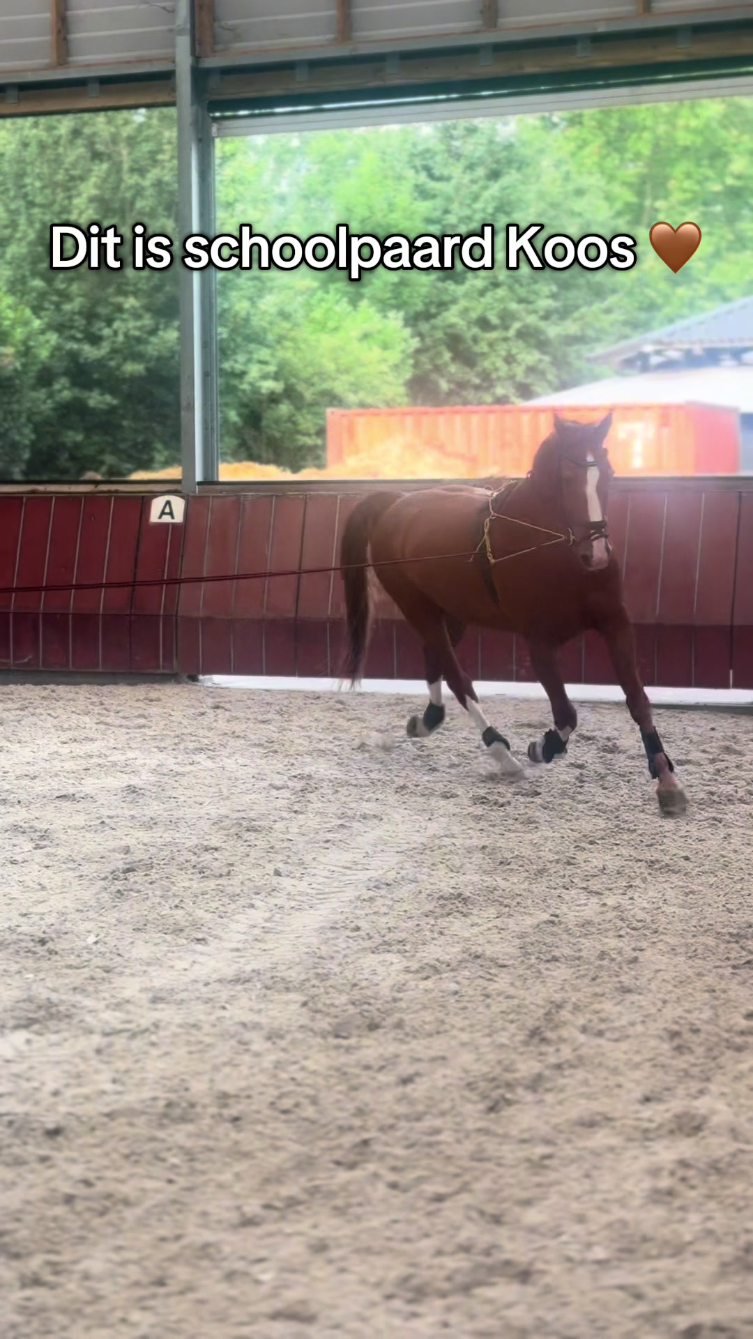 @Aeres Hippisch Centrum