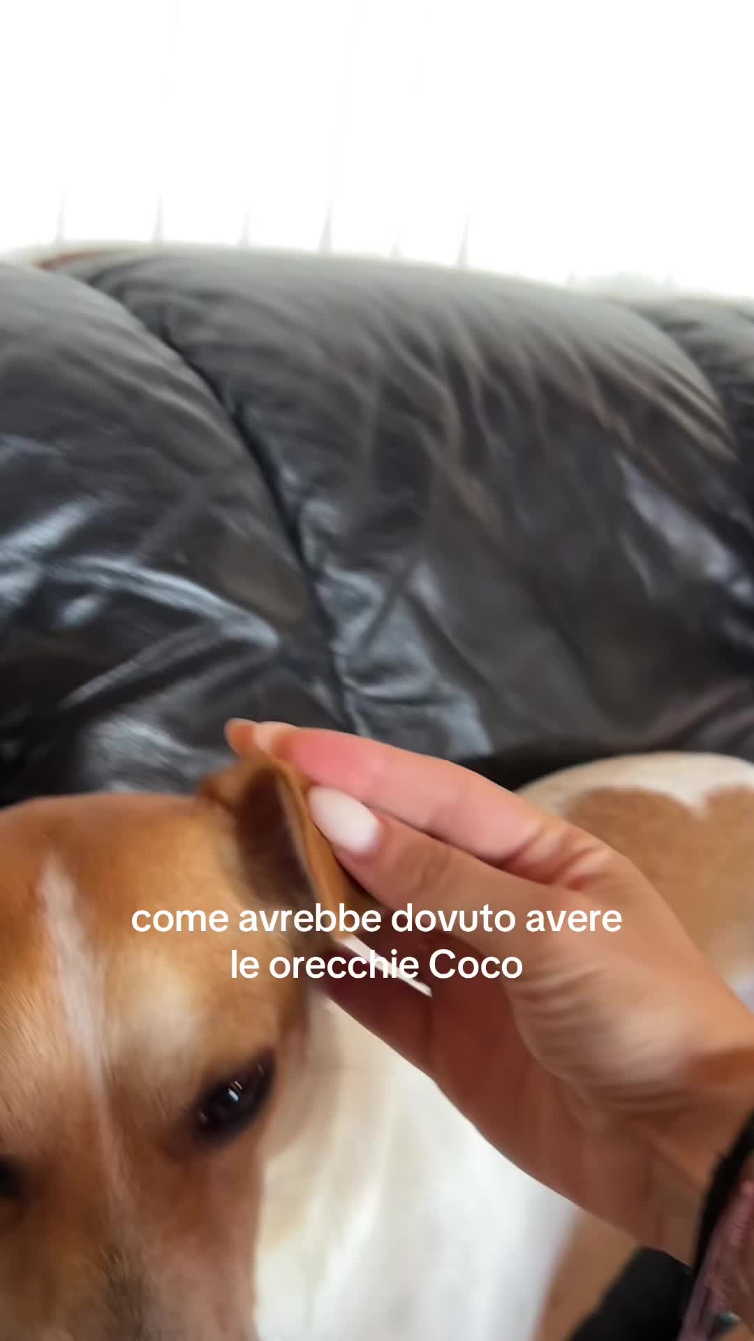 @albarossi