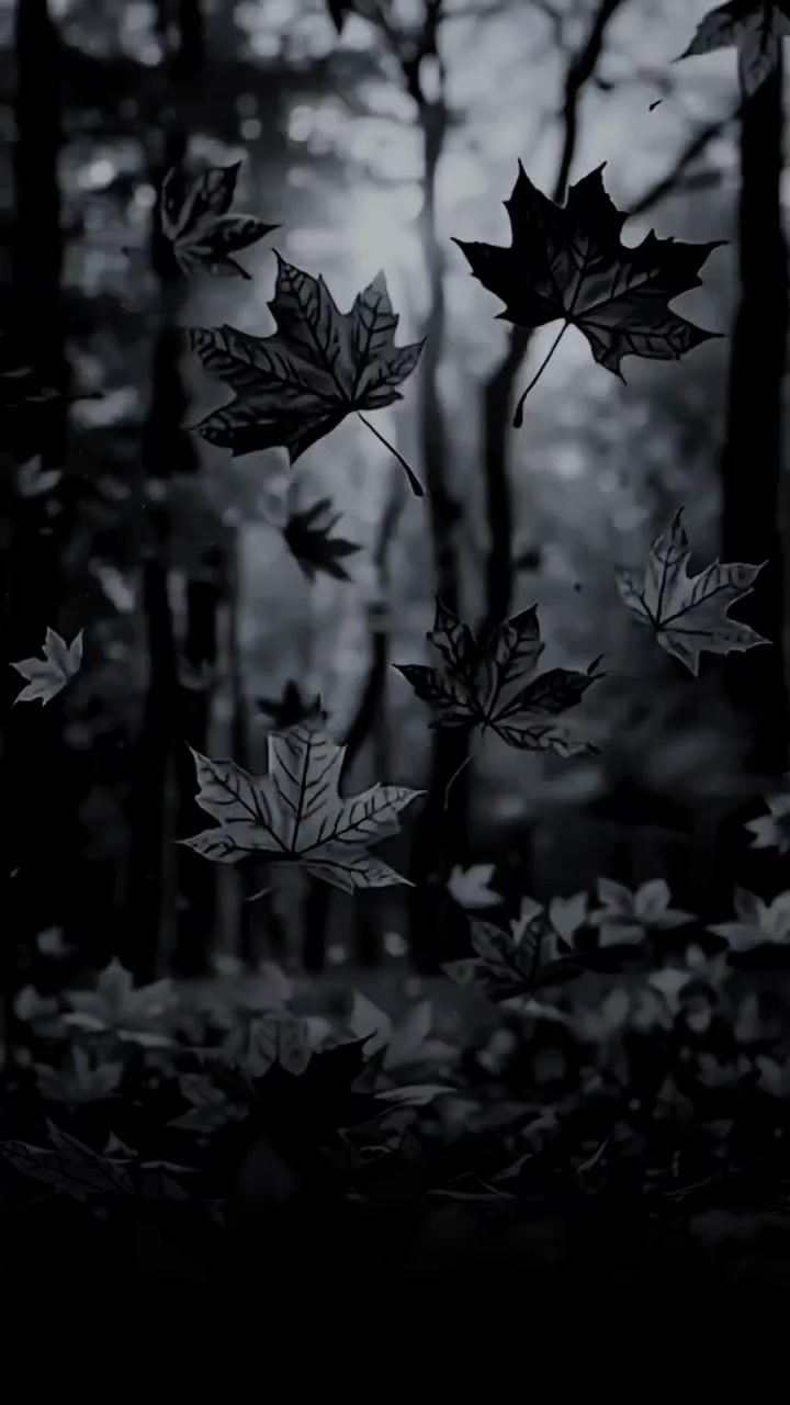 @_rru_2