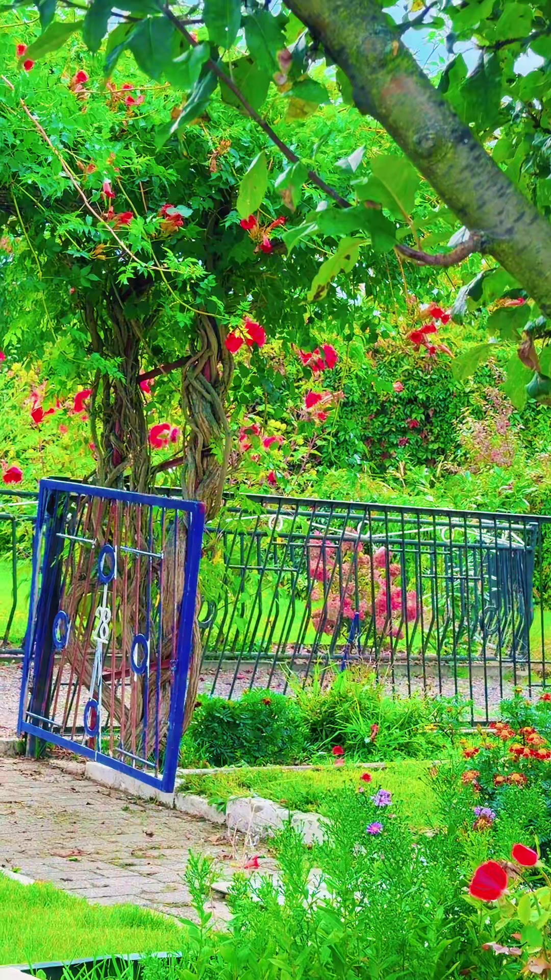 @أّبِوِ جِأَّّسمَ 811