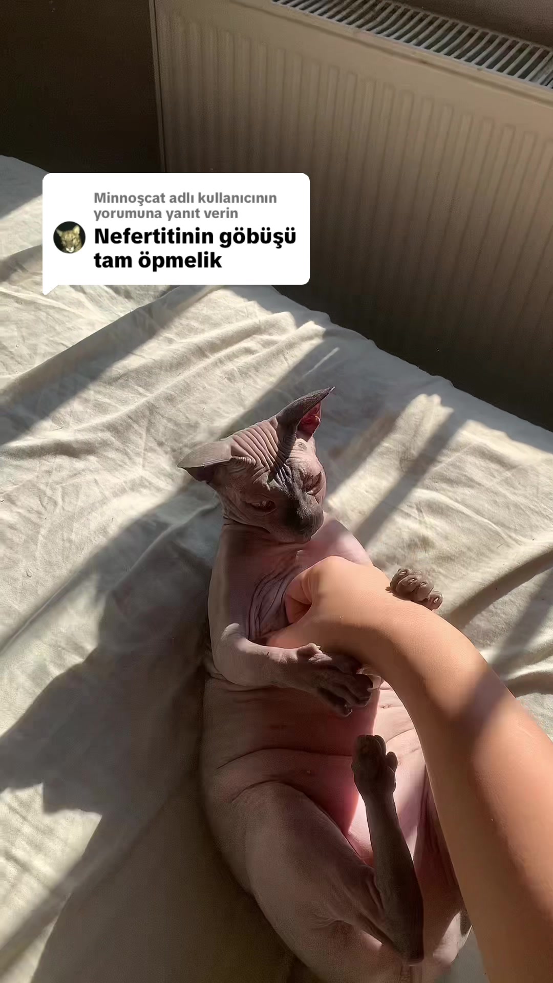 @Larin