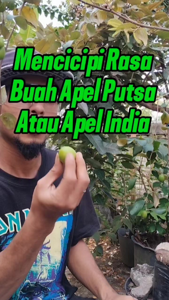 @Bukit Farming