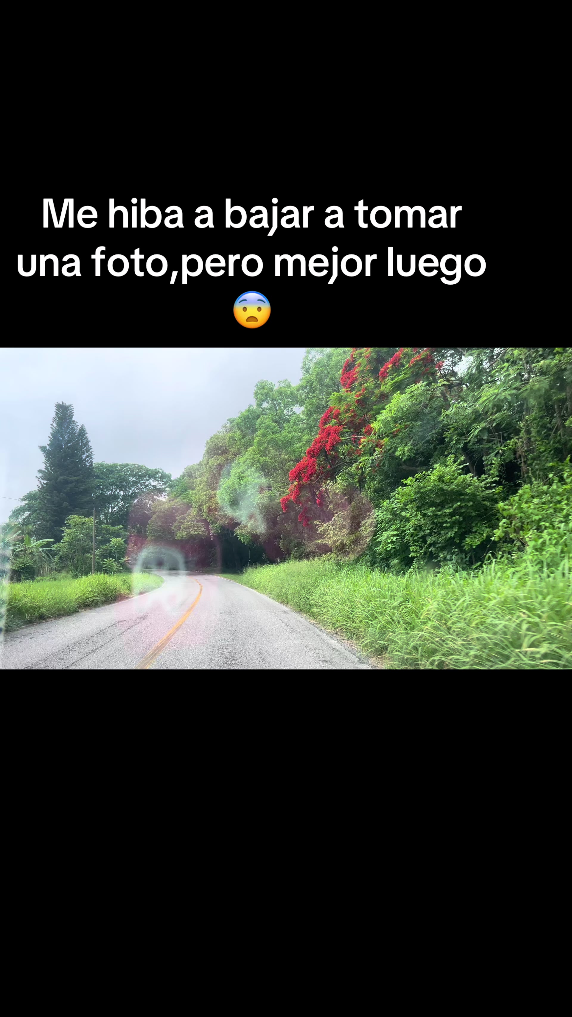 @Grettel Rdz✨🌻