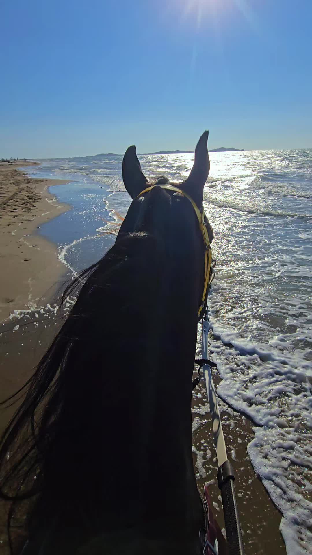 @Horse Training Center Albania